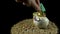 A white piggy bank stands on a sandy beach and spins on a black background.