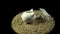 A white piggy bank stands on a sandy beach and spins on a black background.