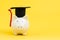 White piggy bank wearing graduation cap on yellow background with copy space, education fund, scholarship or savings for study
