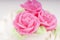 White and pink cake frosting detail with decorative flowers