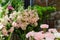 white and pink carnations close bouquet on showcase