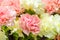 white and pink carnations close bouquet on showcase