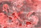 White and pink living coral marble texture