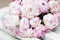 White and pink peonies. Background, wallpaper