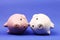 White and pink piggies bank recumbent on blue background