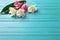 White and pink tropical plumeria flowers on turquoise wooden background.