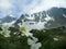 White plant blooming high in the mountains