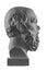 White plaster bust, sculptural portrait of Socrates