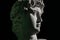 White plaster copy of ancient sculpture, male portrait - David