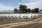 White plastic covered bales on a farm