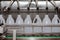 White plastic gallons or bottle on the production line of the conveyor at filling machine in the factory. selective focus.