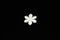 White plastic hexagonal snowflake on a black background