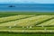 White plastic wrapped hay bales on a farm, in rural Iceland. Westfjords