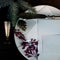 White plate with antique silver knife, fir branch, barberry and pieces of paper on a wooden background. space for text.