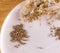 White plate, dried leaves of hemp and hemp seeds