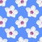 White plumeria flowers repeat pattern