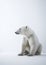 White Polar Bear. Minimalistic Elegance of Arctic Majesty. Generative AI