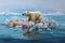 White polar bear plastic pollution awareness