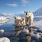 White polar bear among snow and ice. A family of northern bears, they are also called oshkuy, nanuk or umka