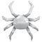 White polygonal crab