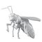 White polygonal wasp