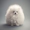 White Pomeranian puppy on a gray background. 3d rendering. Children\\\'s toys