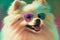 White pomeranian wearing sunglasses smiling. pastel tones