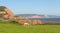 White pony and sandstone rock stacks Ladram Bay beach Devon England UK located between Budleigh Salterton and Sidmouth