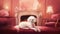 a white poodle sitting on a red couch in front of a fireplace