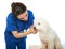 White poodle in veterinary