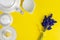 White porcelain coffe or tea set with muscari flowers on yellow