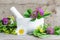 White porcelain mortar with healing flowers of clover and chamomile. Herbal medicine, organic homemade cosmetics and spa concept.