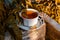 White porcelain tea cup on the wooden balcony yellow wild grapes background. Warm healthy herbal drink.Weekend breakfast