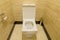 White porcelain toilet in a stall