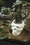 White pots for plants with succulents in the shape of a skull made of plaster, concrete. Creative Halloween floral