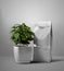 White pouch template with valve, Arabica plant in a pot, blank zip package with shadows on a wall background