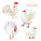 White Poultry Set:  goose, turkey,rooster, duck . Isolated on white. Watercolor cartoon illustration