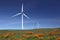 White Power Generating Wind Turbines, Wildflowers