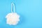 White puff Shower sponge mesh