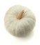 White pumpkin