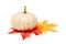 White Pumpkin with Autumn Leaves