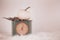 White pumpkin and leaves laying on vintage green scale with rust standing on white fur underground