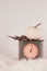 White pumpkin and leaves laying on vintage scale with white background and white fur underground