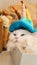 White puppet cat wearing cute helmet