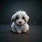 White Puppy, big eyed, cute, adorable