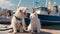 white puppy and kitty ,cat and dog sleep on promenade in the port between fishing boats, sunny day, Thessaloniki port