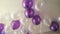 White and purple balloons floating on the ceiling