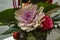 White with purple in the center of decorative coral-shaped cabbage with a red rose and a bud framed with ivy and large leaves