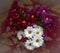 White purple chrysanthemums heart shape