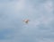 White quadcopter in the sky